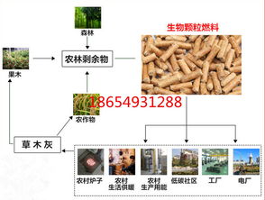 徐州鼓式削片機 大中小型免黃油木屑顆粒生產的核心動力